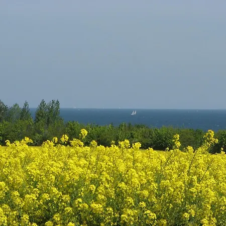 Zum Nikolaikirchturm - Abc605 *